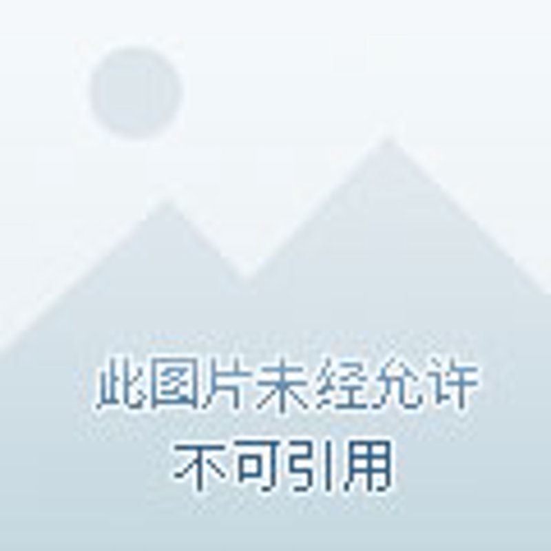 信息化建设与管理处：2026年落地数据驱动决策的“铁三角”实战攻略（附关键指标）